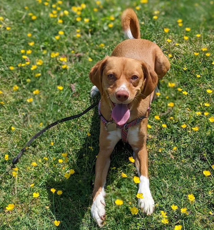 Bella living her best life