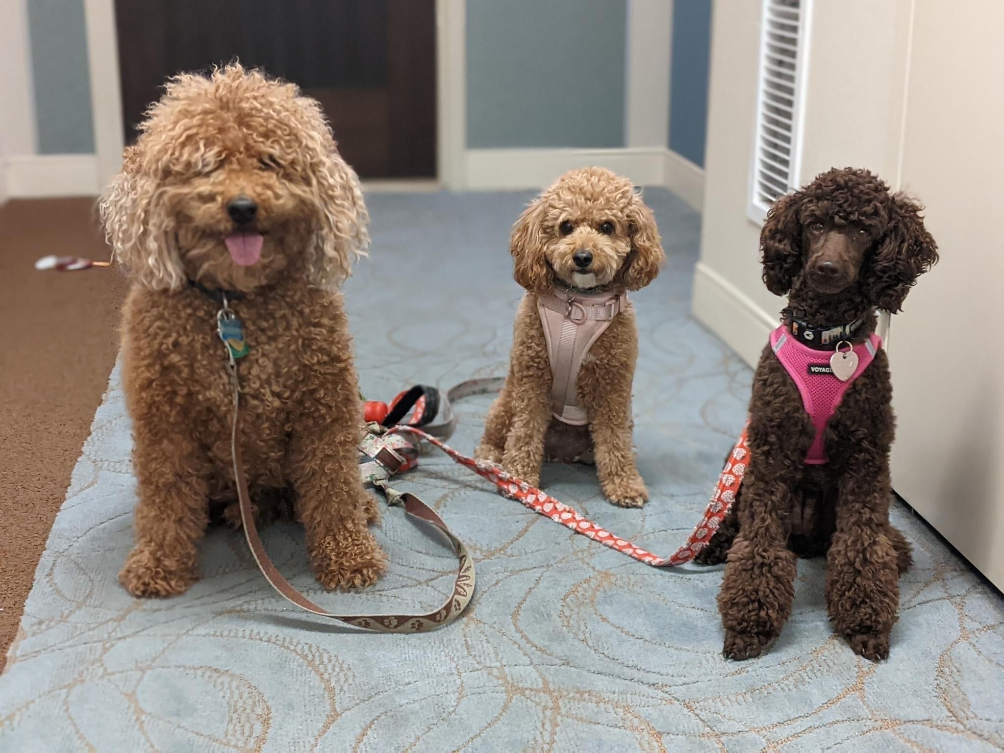 Picking up more friends